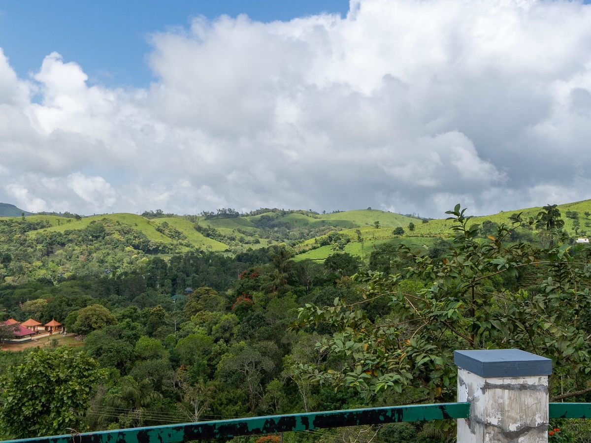 Tea gardens and green hills seen from the Zen Garden Vagamon driveway