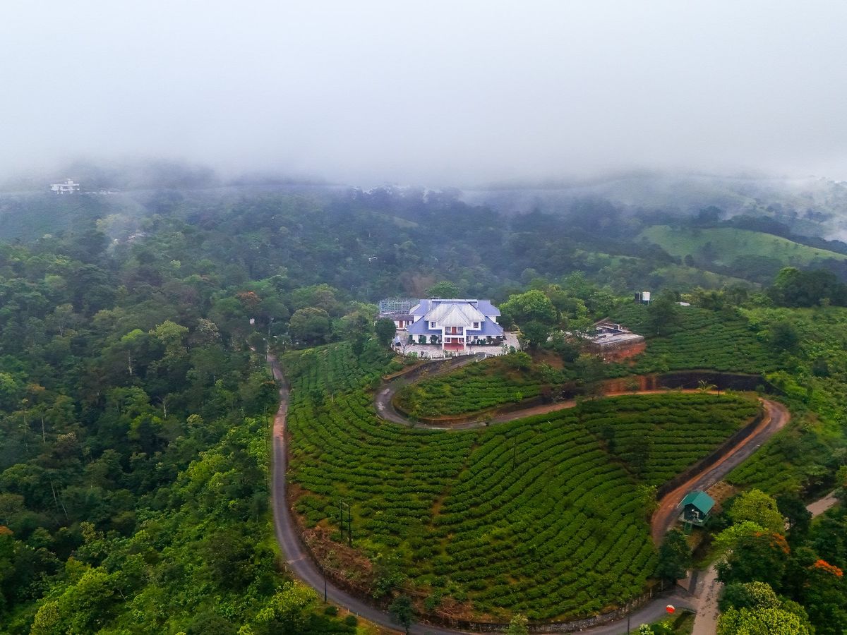 Drone view of Zen Garden Vagamon above curving rows of tea